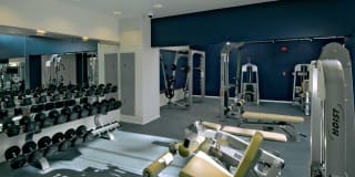 Marina 41 Gallery 42