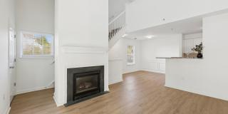 The Estates Gallery 7