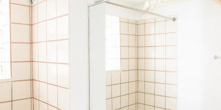 1352 West Foster Gallery 8