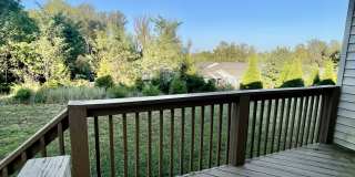 2528 Old Forest Road - A Gallery 24