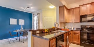 TGM Palm Aire Gallery 2