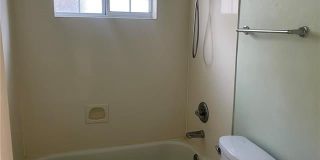 1556 STEEPLE CHASE Lane Gallery 8