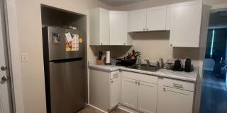 Cozy Cottage in West Nashville, Walk to Charlotte Park, Easy Interstate Access, Fenced Yard, Pet Friendly, W?D hook-ups Gallery 4