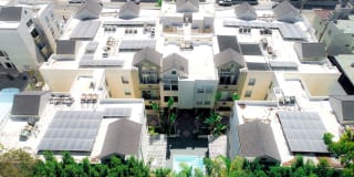 Palms Court Gallery 27