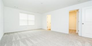 98 Brewster Drive Gallery 17
