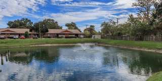 Cottage Court Gallery 9