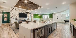 The Artifact Townhomes Gallery 14