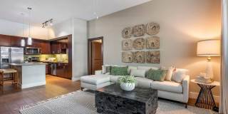 Advenir at Lighthouse Point Gallery 18