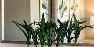 Ventana Gallery 65