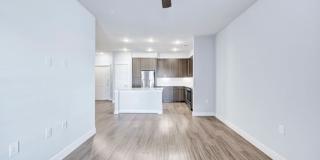 Brightleaf at Lakeline Gallery 9