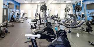 Advenir at the Oaks Gallery 14