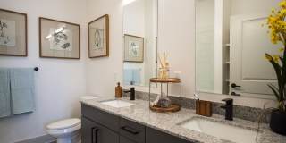 Solis Gainesville Gallery 16