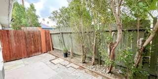 522 E Cottonwood Rd Gallery 19