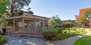 Modern 2-Bedroom Condo with Pool and Koi Pond Views Gallery 27