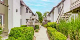 9813 Caspi Gardens Drive Gallery 22