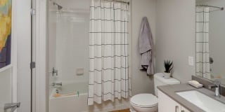 Avalon 555 President Gallery 20