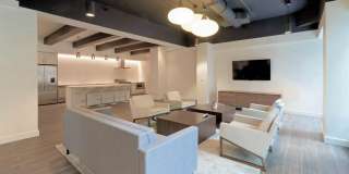 Chestnut Place Gallery 19