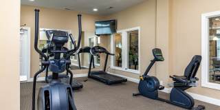 Four Pointe Gallery 18