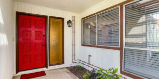 920 W Solcito Ln Gallery 3