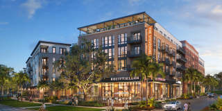 The Stevedore Gallery 1