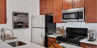 Falls Green Gallery 5