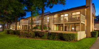 Vineyard Village Gallery 5