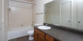 Canopy at Baybrook Canopy at Baybrook Gallery 29