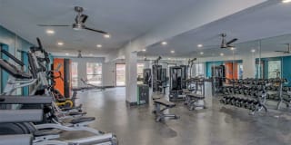 Muse Apartments Gallery 9