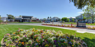 Addison Ranch Gallery 47