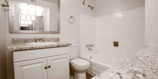 Icon on Stella Gallery 11