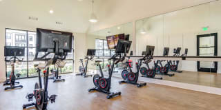 The Collins Luxury Apartments Gallery 18