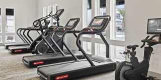 The Residences at Enso Gallery 21