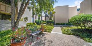 Partially Furnished Two Bedroom Condo in College Area Gallery 24