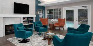 Novela Gallery 9