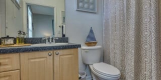 RiverTree Gallery 20