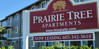 Prairie Tree Gallery 13