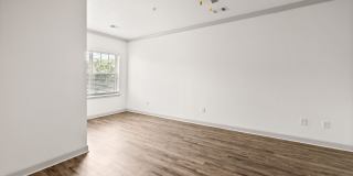 Olympus Carrington Gallery 6