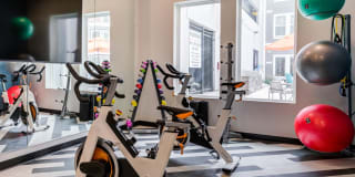 Altair at the Heights Gallery 13