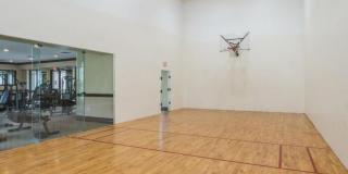 2725 Anzio Court Gallery 28