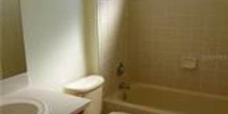 4 Bedroom 2 Bath in Summerfield Freshly painted, New Sod, Tile in all bedrooms! Gallery 4