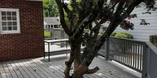 Fully Updated 3BR/2BA St. Matthews Cape Cod with Garage & Wrap-Around Deck Gallery 3