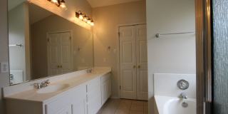 Lovely large updated 3 bed, 2 bath house w/ 2 living & 2 dining areas in Austins Colony Gallery 9