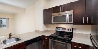 Renaissance Tower Gallery 16