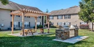 Ivy Hollow Gallery 12