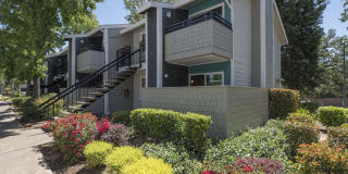 The Hills Gallery 11