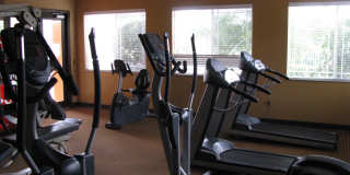 301 SW Palm Drive Gallery 20