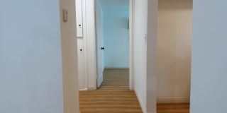 2255 Montrose Ave Gallery 12