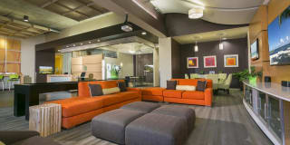 Solera Apartments Gallery 10