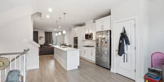 3537 STELLA BLUE Drive Gallery 4
