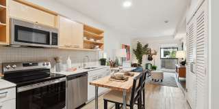 Arrive Hollywood Arrive Hollywood Gallery 1